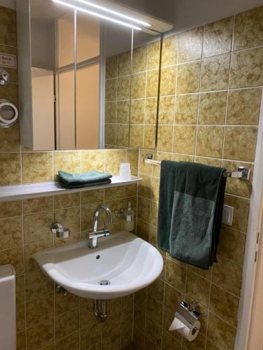 ein Bad mit einem Waschbecken und einem Spiegel in der Unterkunft Ferienwohnung Schwarzwaldgrund in Baiersbronn