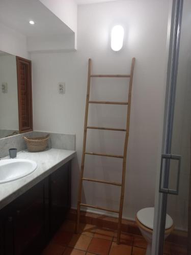 a bathroom with a ladder next to a sink at Baie du Galion in La Trinité