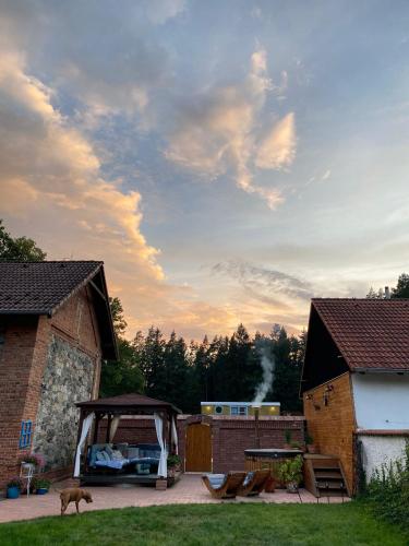 a dog walking in a yard next to a house at Maringotka Nebeská in Chýnov