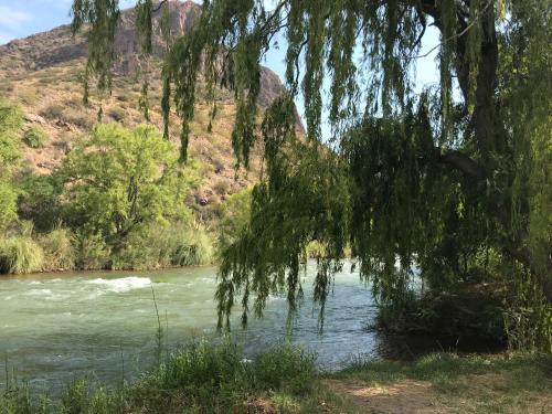 a branch of a tree hanging over a river at BRISAS DEL VALLE San Rafael in Valle Grande