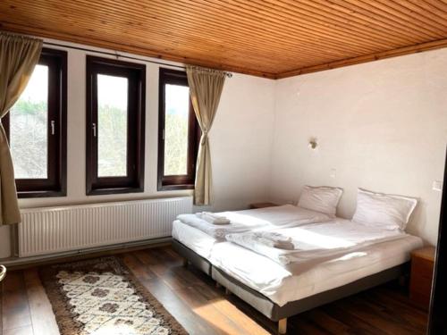a bedroom with a bed in a room with windows at Бор и Шишарка in Varzilkovtsi