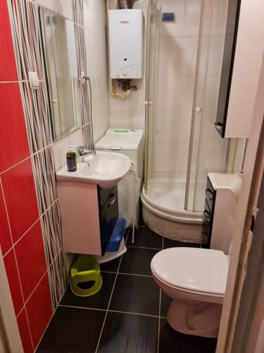 a small bathroom with a toilet and a sink at Przytulny apartament blisko centrum in Katowice