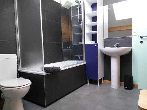 een badkamer met een toilet en een wastafel bij Gîte l'Ecole de ma Mère in Bertogne
