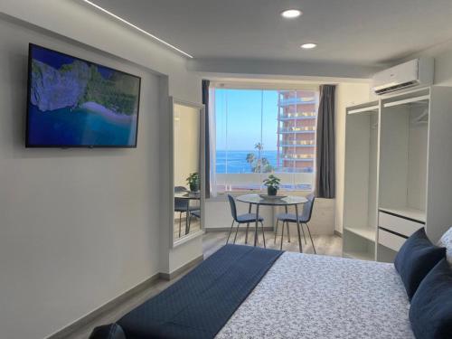 Suite estudio