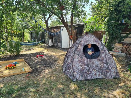 Savanna Guest Houseにある庭