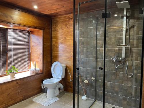 uma casa de banho com um WC e uma cabina de duche em vidro. em Къща за гости Виевци em Vievo