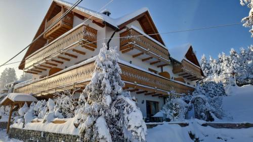 維斯瓦的住宿－Rezydencja Nad Potoczkiem，前面有一棵雪覆盖的树的房子