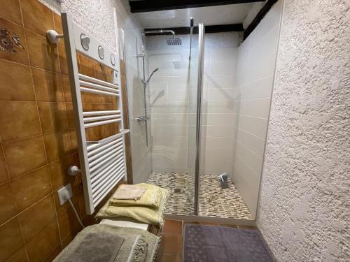 La salle de bains est pourvue d'une douche avec une porte en verre. dans l'établissement Gîte des Bruyères, à Graçay