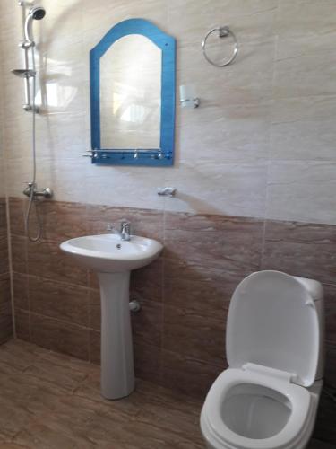 bagno con servizi igienici, lavandino e specchio di Giomari a Shekhvetili