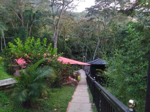 Giardino di hotel villa paz d f
