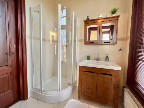 a bathroom with a shower and a sink at Villa Giethoorn Steenwyck in Steenwijk