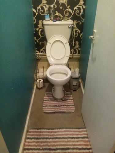 ウォルソールにあるFlat 30 brookeshouseのバスルーム(白いトイレ付)