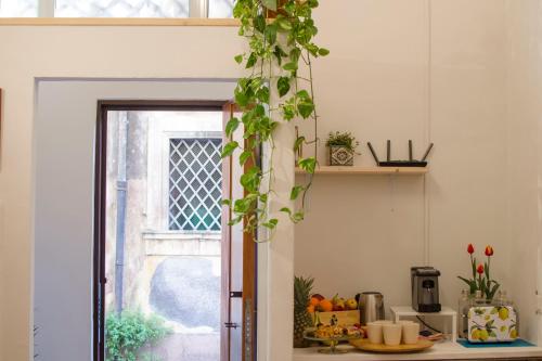 une cuisine avec une plante suspendue au-dessus d'un comptoir dans l'établissement La Casetta, à Catane
