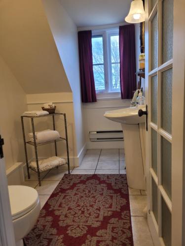 a bathroom with a sink and a toilet and a window at Om Chalet 3 avec spa et accès au fleuve in Saint-Laurent-de-l'ile d'Orleans