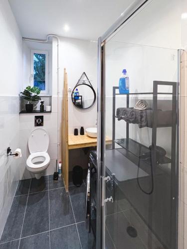 une salle de bain avec douche et toilettes dans l'établissement Appart'Hôtel Le Valdoie - Rénové, Calme & Netflix, à Belfort