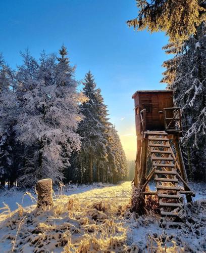 a snow covered field with a snow covered tree at Tiny House - Luxury Cottage in Bullange