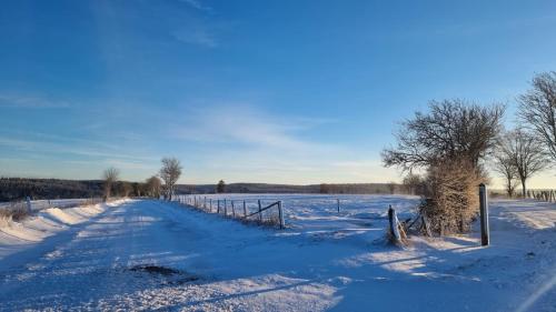 a snow covered field with a fence and a snowy road at Tiny House - Luxury Cottage in Bullange