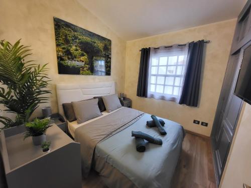 a bedroom with a bed and a plant in it at MaraVillas de Tenerife in Abades