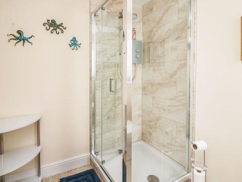 eine Dusche mit Glastür im Bad in der Unterkunft Yemble Rose in Cardigan