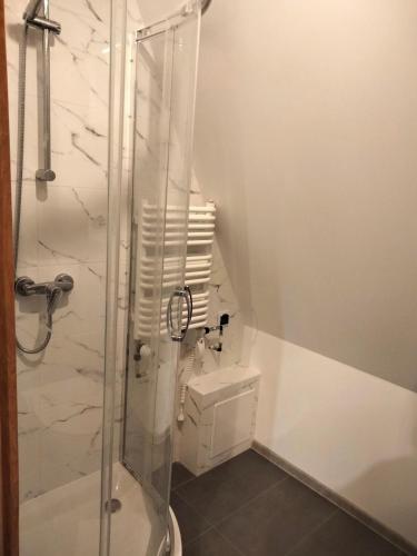 a bathroom with a toilet and a glass shower at U Gumisia in Korbielów