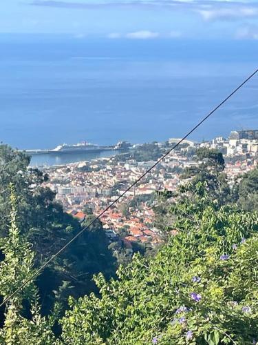 a view of a city from a hill with trees at Quinta Belmonte with Private Heated Pool in Funchal in Funchal