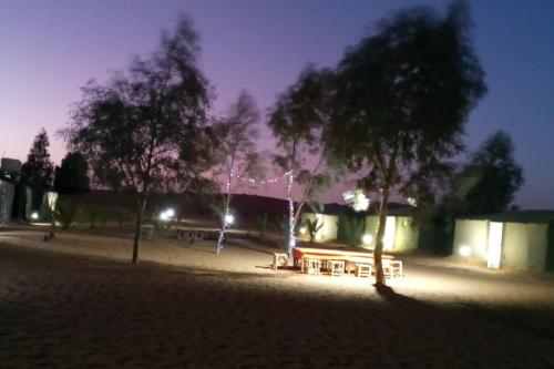 a park with a picnic table and trees at night at Camel Trek Bivouac in Merzouga