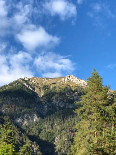 a mountain with a pine tree in the foreground at Appartment Isabelle - Kamille in Presseggersee