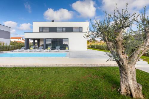 Πισίνα στο ή κοντά στο Amazing private villa with outdoor swimming pool in Vodnjan