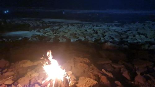 a group of animals standing around a bonfire at night at appartement de luxe front mer à DAR BOUAAZA in Dar Bouazza