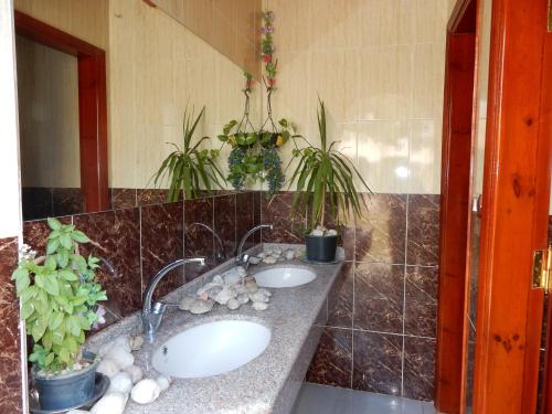 Fotografie z fotogalerie ubytování New Memnon Hotel v destinaci Luxor