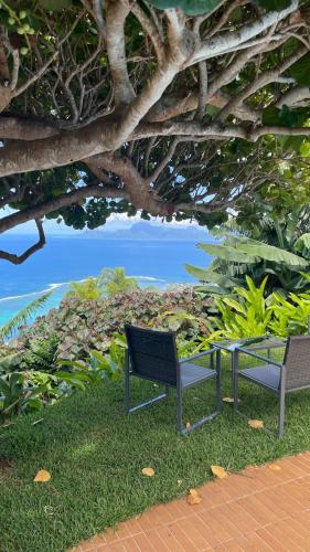 two benches sitting on the grass under a tree at Villa Te Miti in Punaauia
