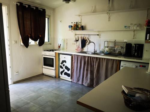 een keuken met een wastafel en een fornuis top oven bij Maison de village avec jardin privatif in Zicavo
