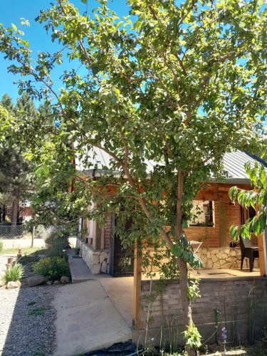 un árbol delante de una casa en Escallonia House en San Martín de los Andes