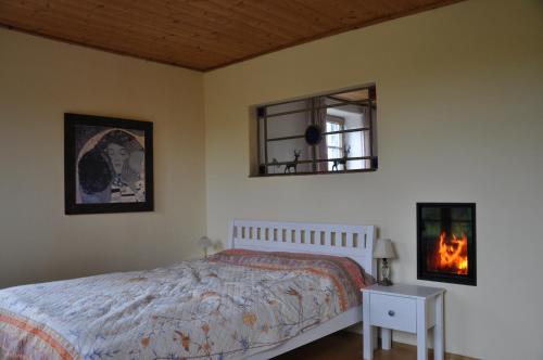 a bedroom with a bed and a fireplace and a mirror at Kemnater Alm in Kaufbeuren