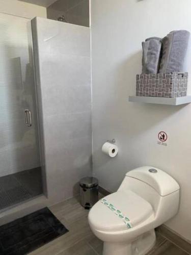 a white bathroom with a toilet and a shower at Quintas Marlet en la ruta del vino in Ensenada