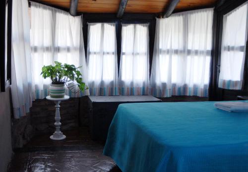 una stanza con un tavolo con una pianta in una stanza con finestre di Cabanas en el Jardin Nativo a San Francisco del Monte de Oro