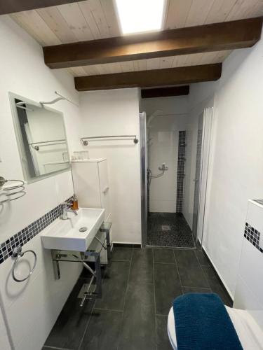 a bathroom with a sink and a shower at Villa Maslina Šarić in Ðevrske