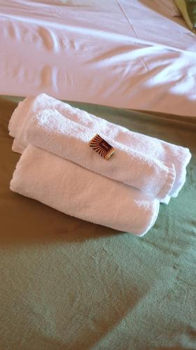 a pair of towels with a brush on top of a bed at Villa Maslina Šarić in Ðevrske