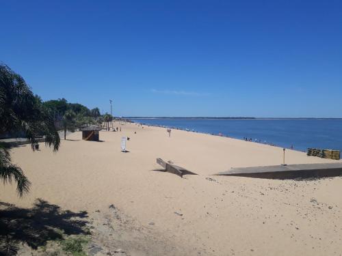 a beach with a shark laying on the sand at Departamento Céntrico, peatonal, vistas a la Plaza in Corrientes