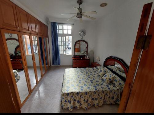 ラスパルマス・デ・グランカナリアにあるvierapeñaのベッドルーム1室(ベッド1台、シーリングファン付)