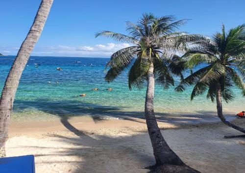 two palm trees on a beach with the ocean at Perhentian Bay Chalet in Perhentian Island