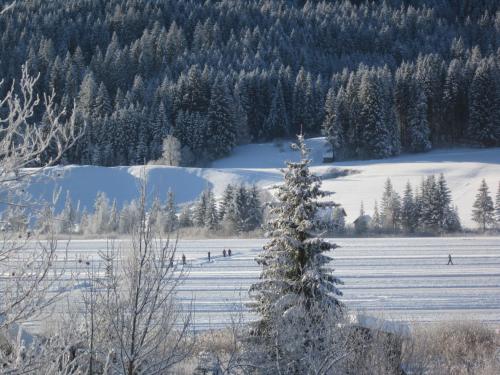 Seehaus Verena – Photos 5
