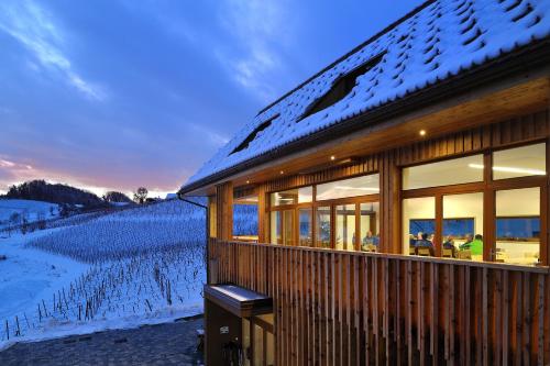 a house with snow on the roof next to a vineyard at Vino Valdhuber Apartments in Svečina