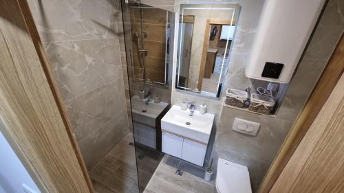 a bathroom with a sink and a toilet and a mirror at Vila Jahor - Apartmani Trifković in Jahorina