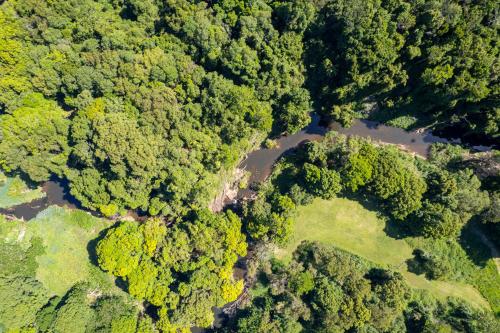 an aerial view of a river in the forest at Gan Eden Retreat-Byron bay , luxuries escape in Mullumbimby