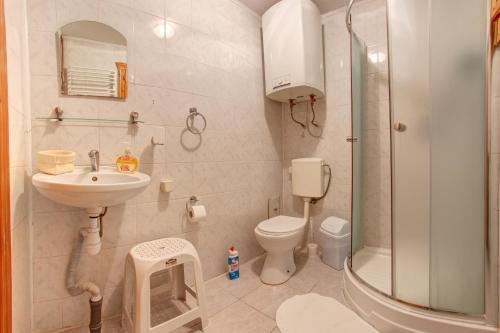 a bathroom with a sink and a toilet and a shower at Dolyna Gir in Bukovel