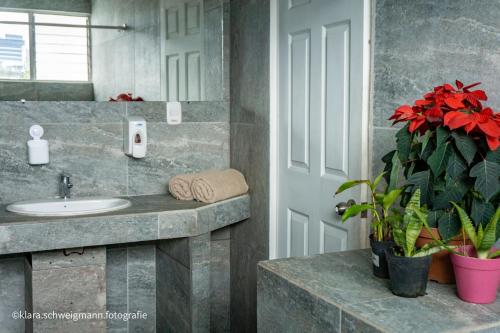 een badkamer met een wastafel en een potplant bij Lost in San Jose Hotel & Hostel in San José