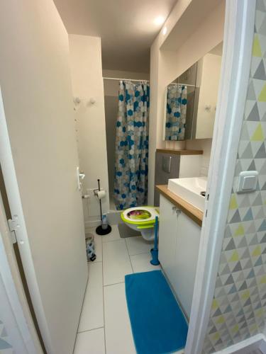 une petite salle de bain avec toilettes et lavabo dans l'établissement Studio Amicie 27m2, balcon couvert, près centre-gare-cathédrale, wifi, à Reims