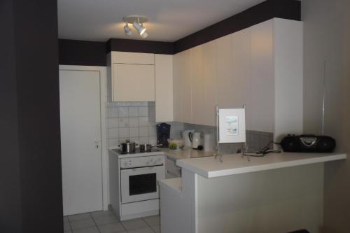 a small kitchen with a stove and a sink at Residence Scorpio in Nieuwpoort