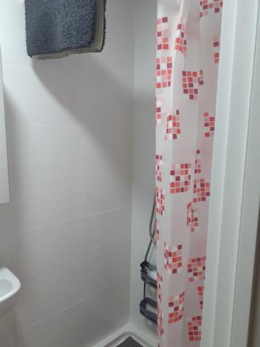 a bathroom with a shower curtain and a toilet at Apartamento Estudio B-1 in Madrid